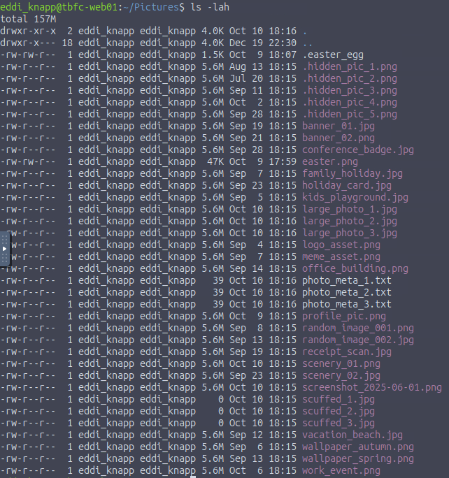 Locating Hidden File in Pictures Directory